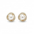 Royal Glow Pearl Stud Earrings